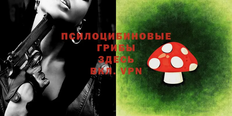 OMG ТОР  Лахденпохья  Псилоцибиновые грибы Psilocybe 